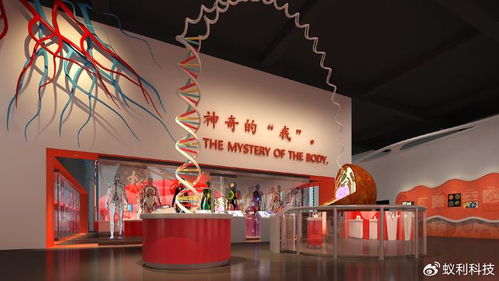 生命文化教育的重要性及其與安全健康體驗(yàn)場(chǎng)館的對(duì)比分析